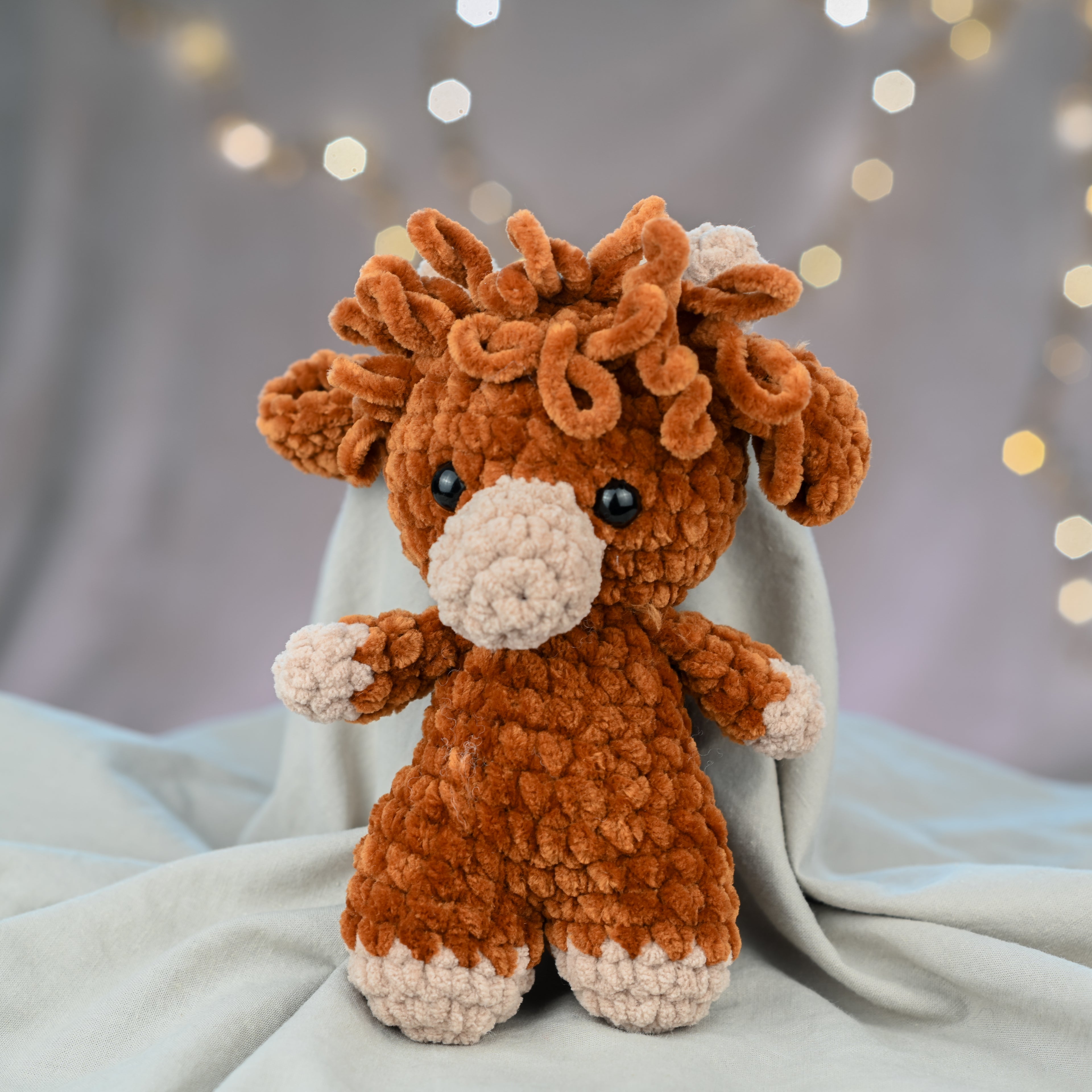 Timmy - die zottelige Highland Cow