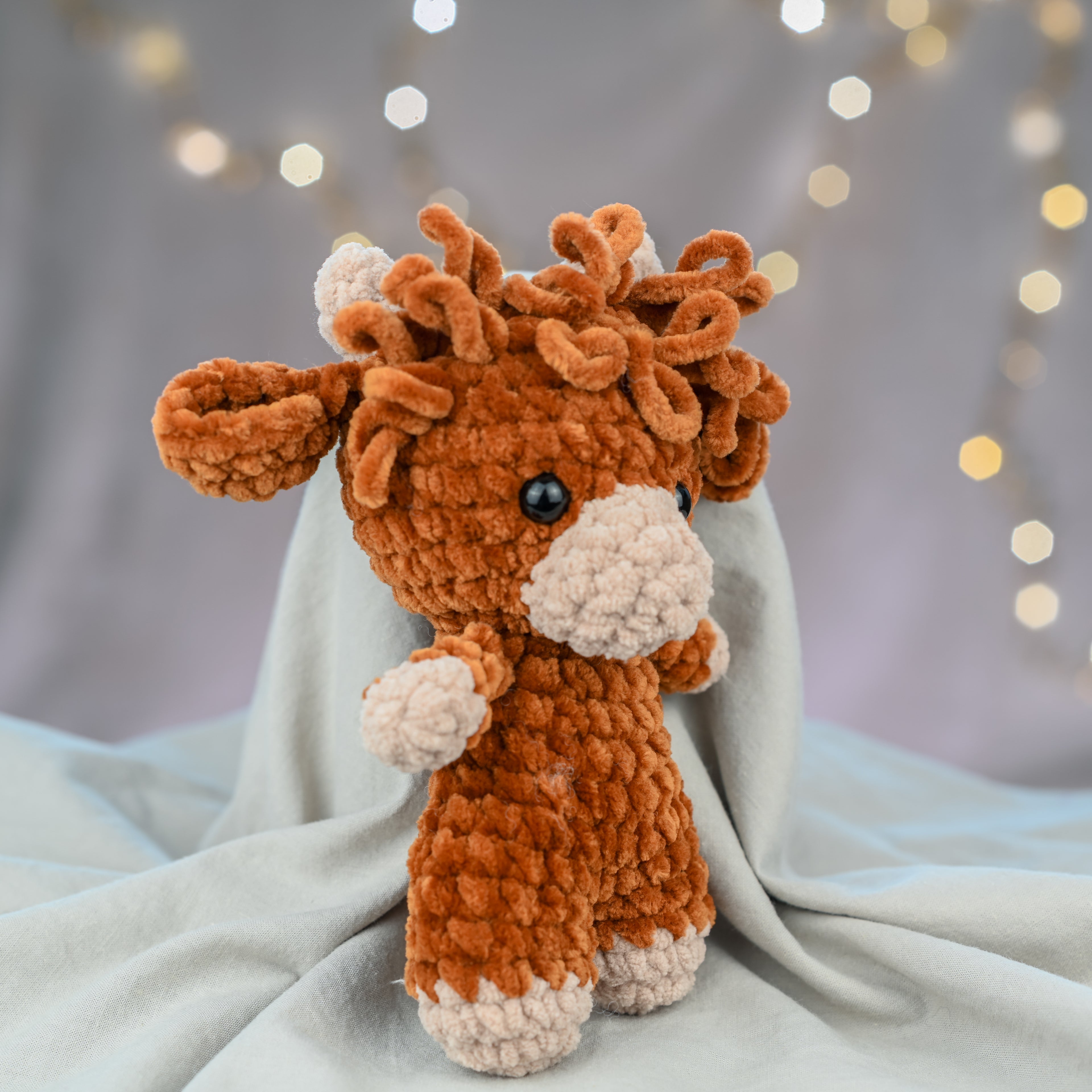 Timmy - die zottelige Highland Cow