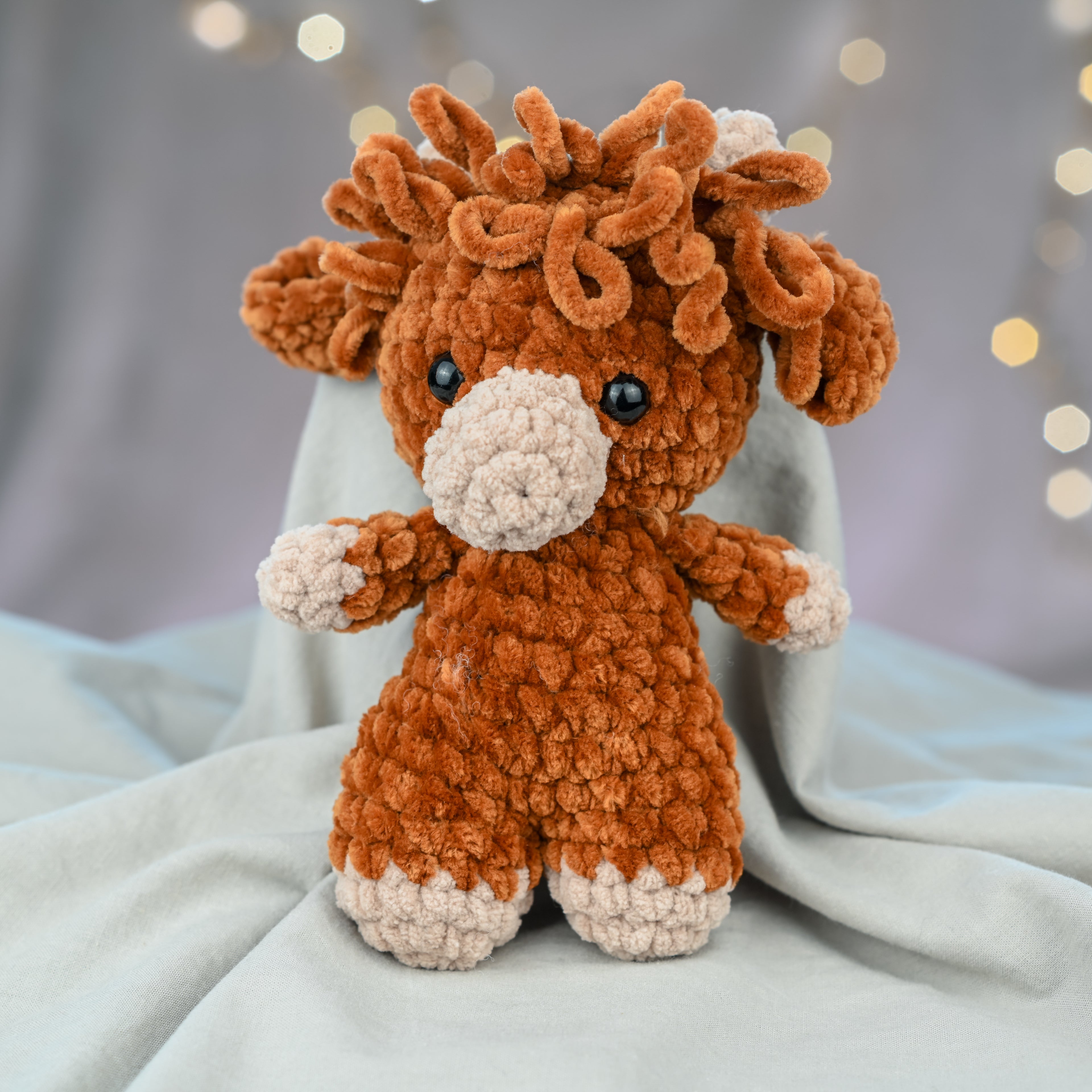 Timmy - die zottelige Highland Cow