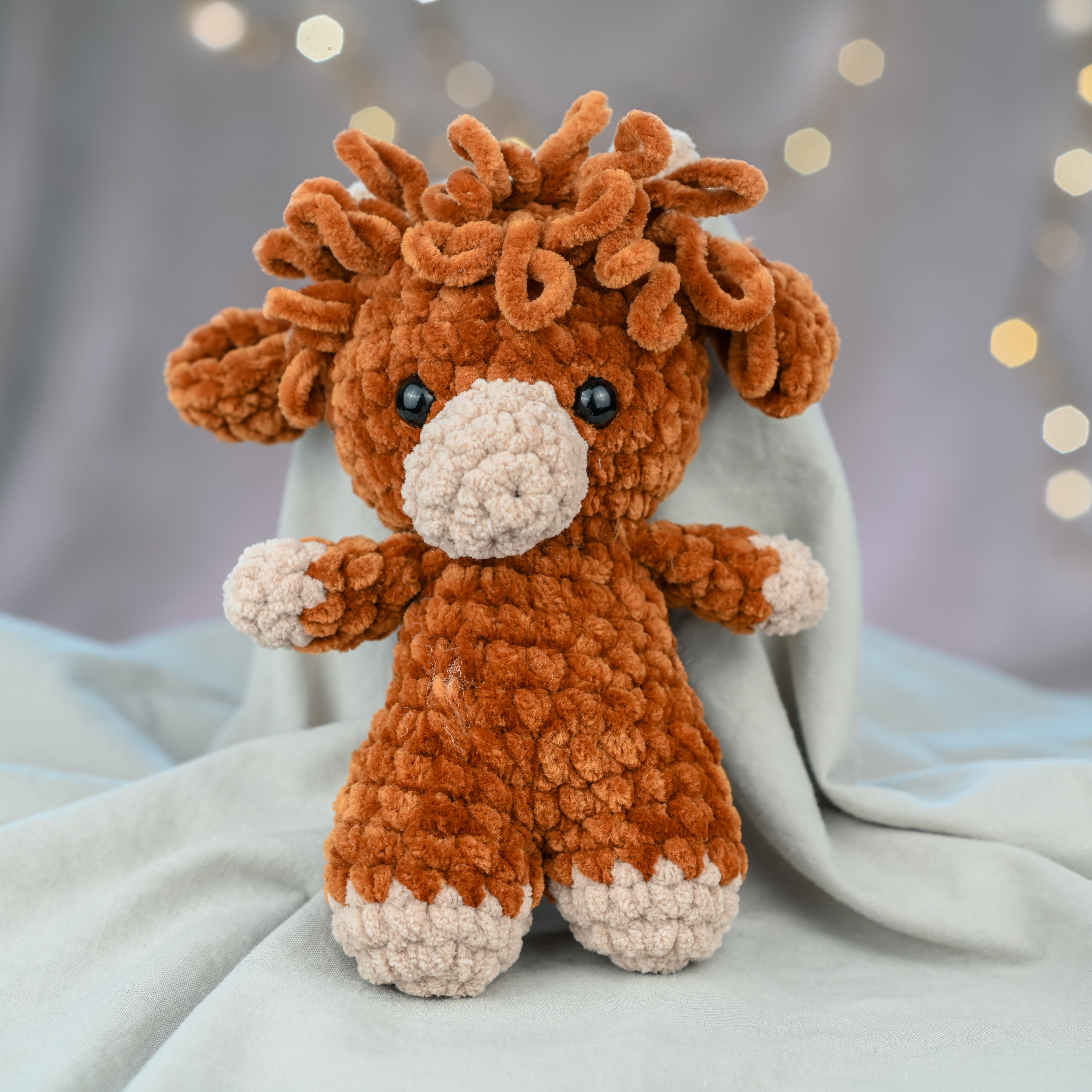 Timmy - die zottelige Highland Cow