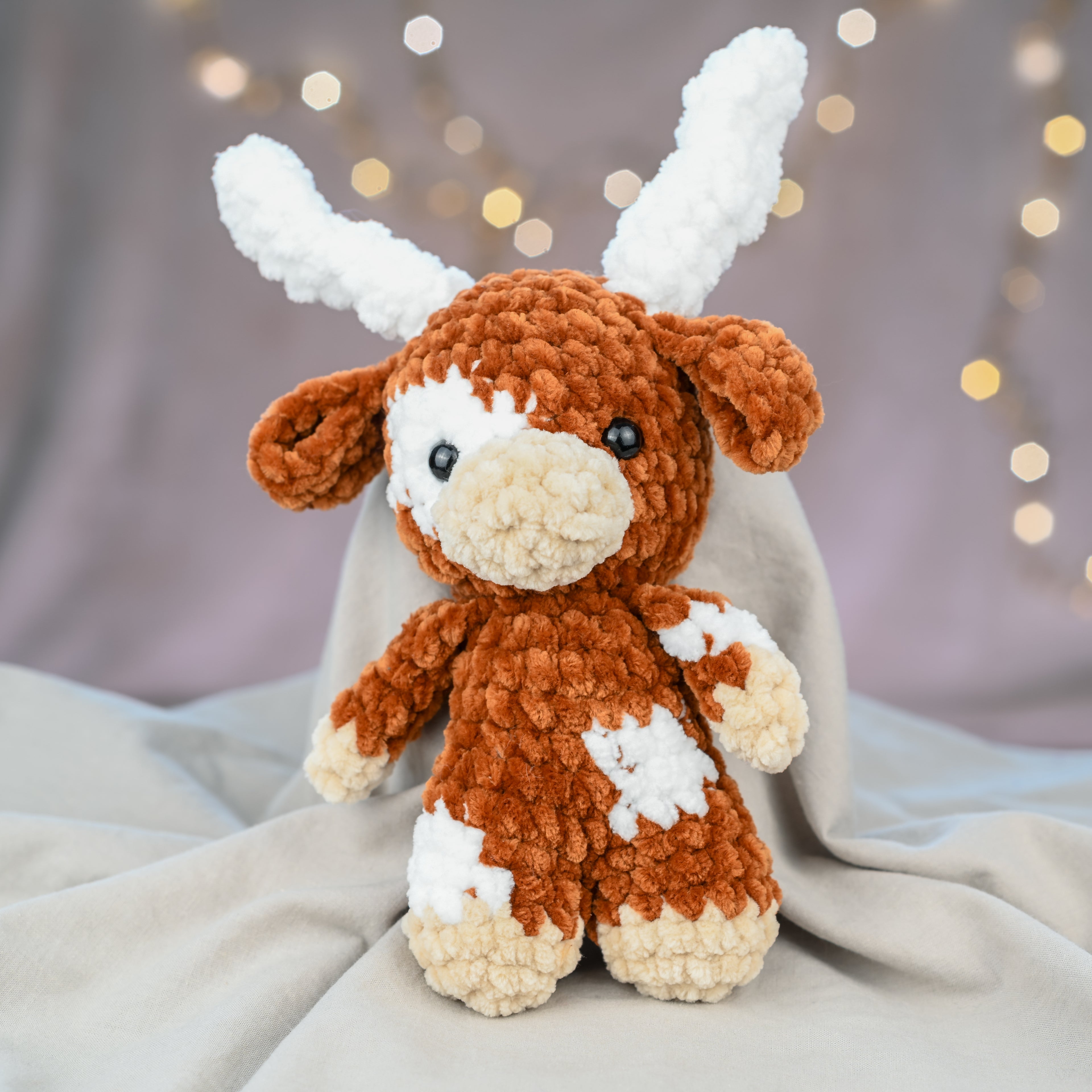 Jimmy - die coole Longhorn Cow