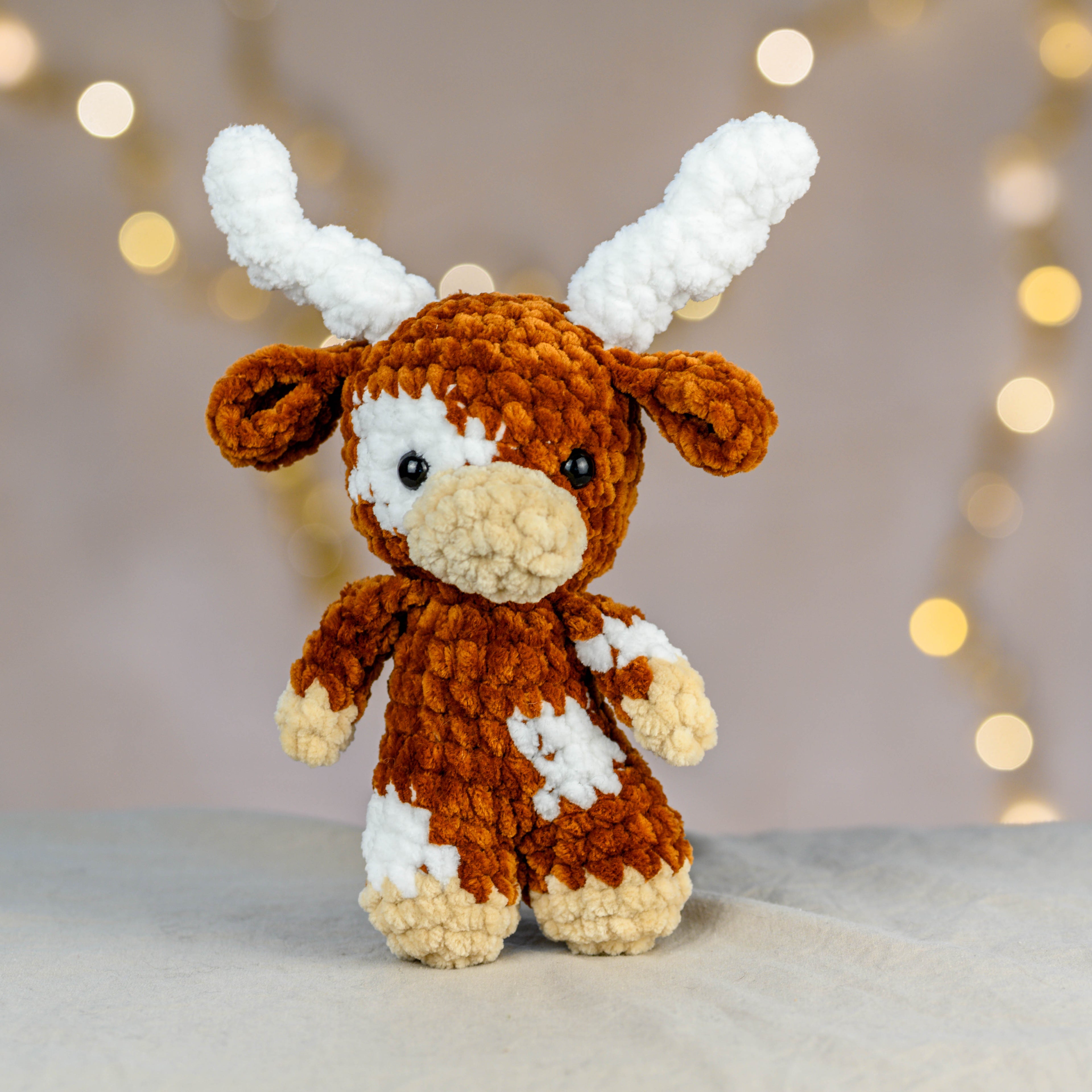 Jimmy - die coole Longhorn Cow