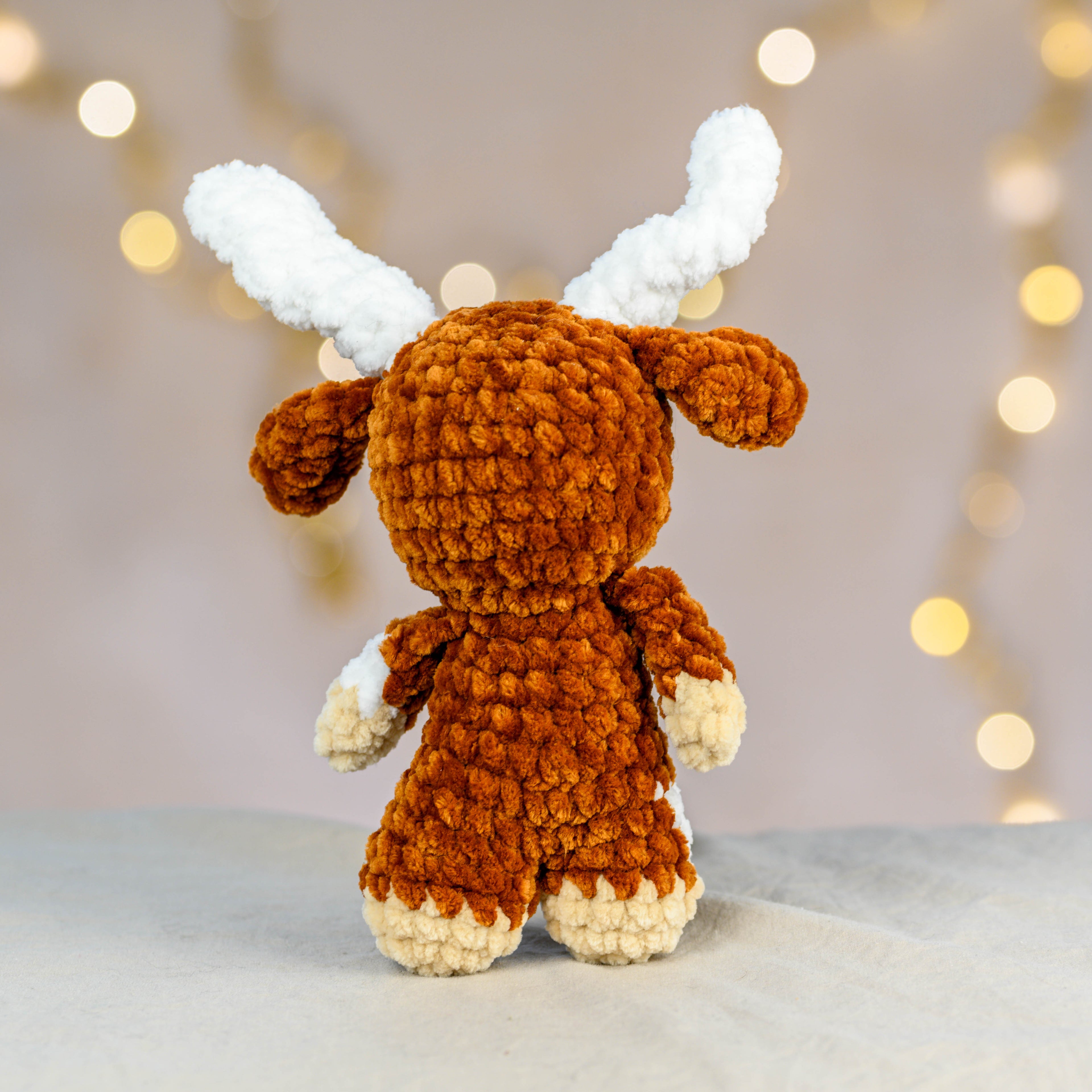 Jimmy - die coole Longhorn Cow