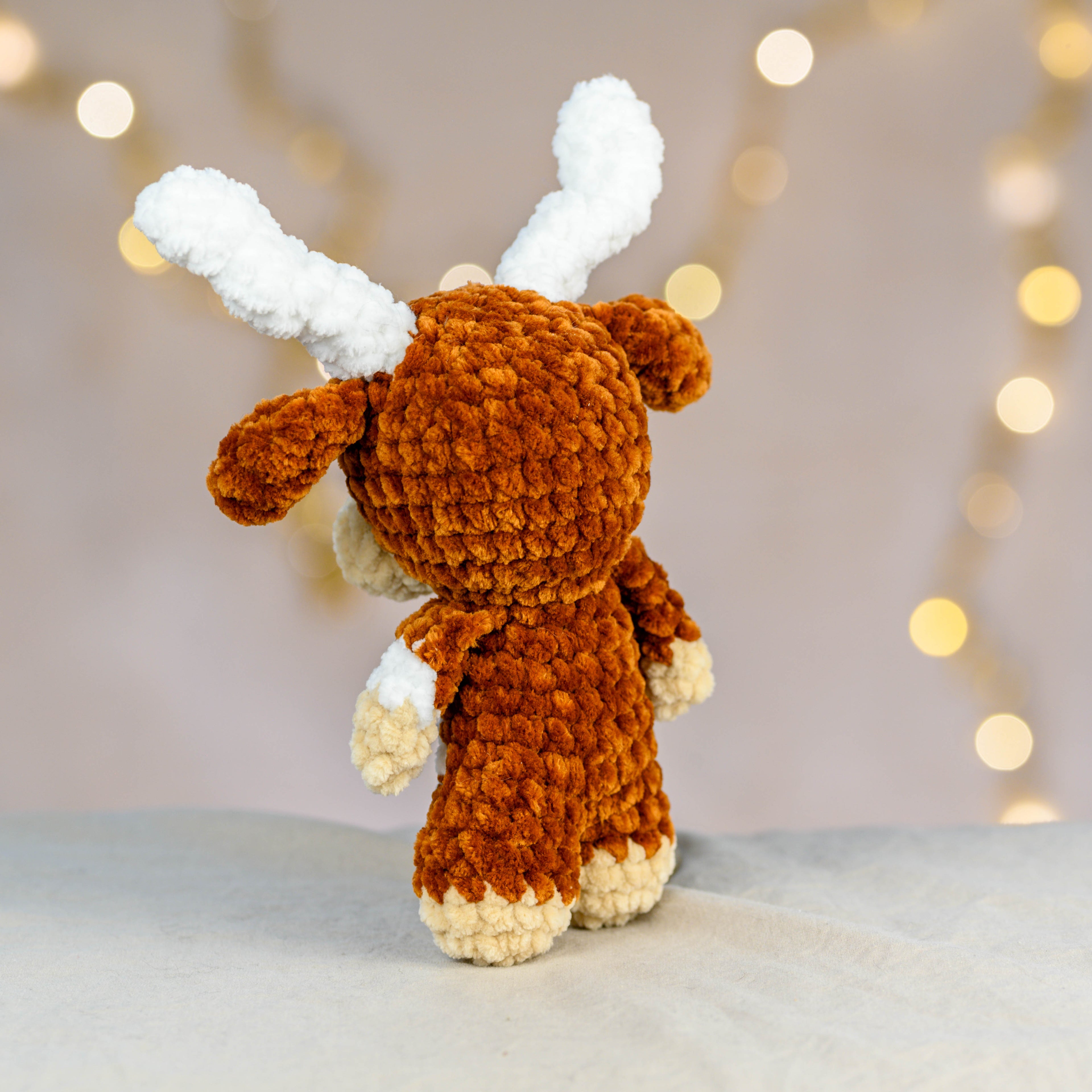 Jimmy - die coole Longhorn Cow