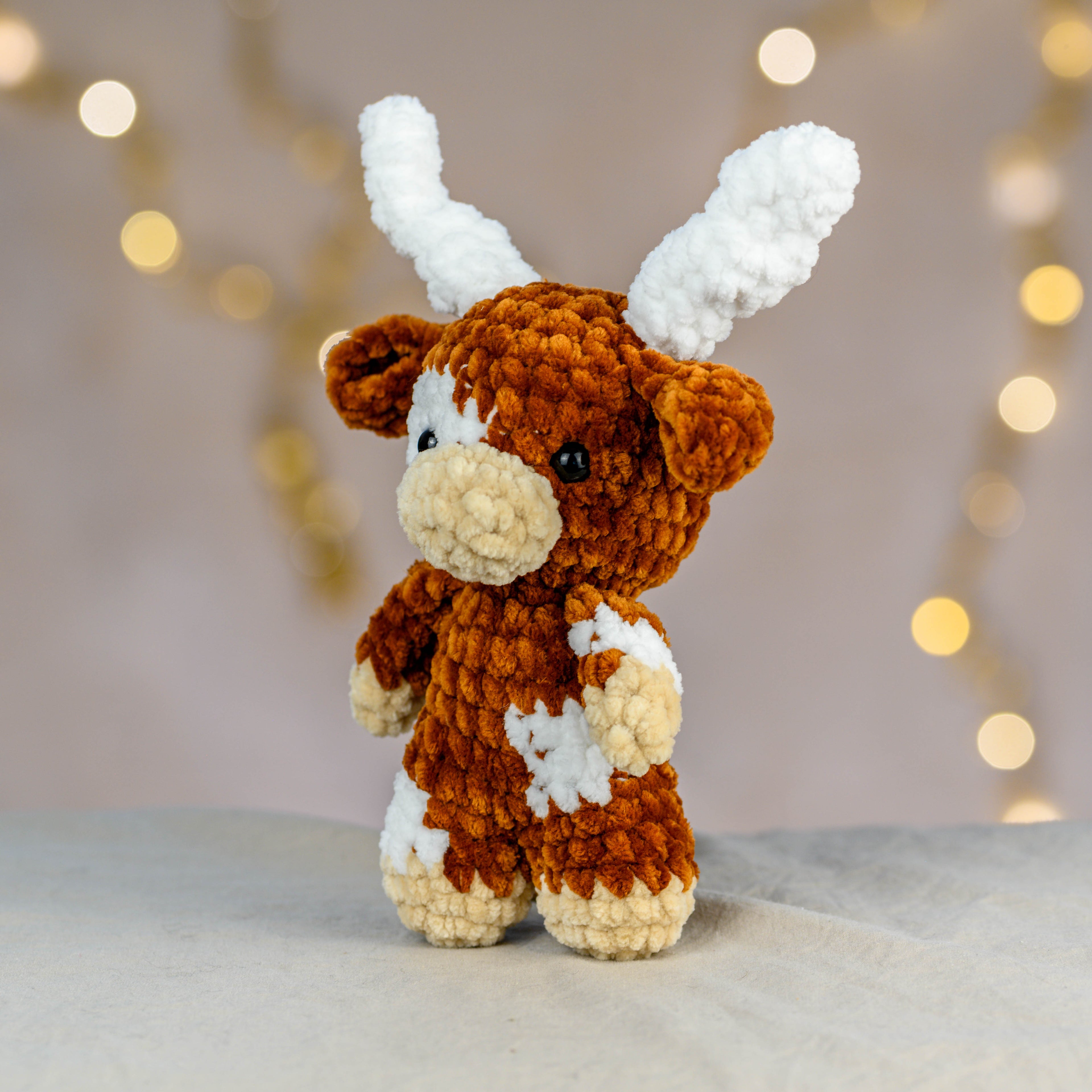 Jimmy - die coole Longhorn Cow